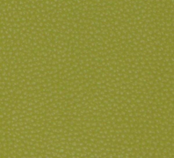 lime green leather color sample