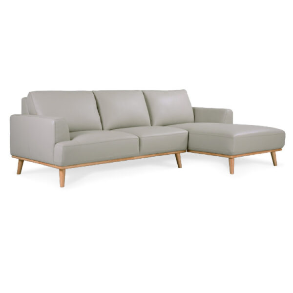 leather sofa with chaise
