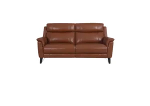 2 seat leather sofa in tan colour